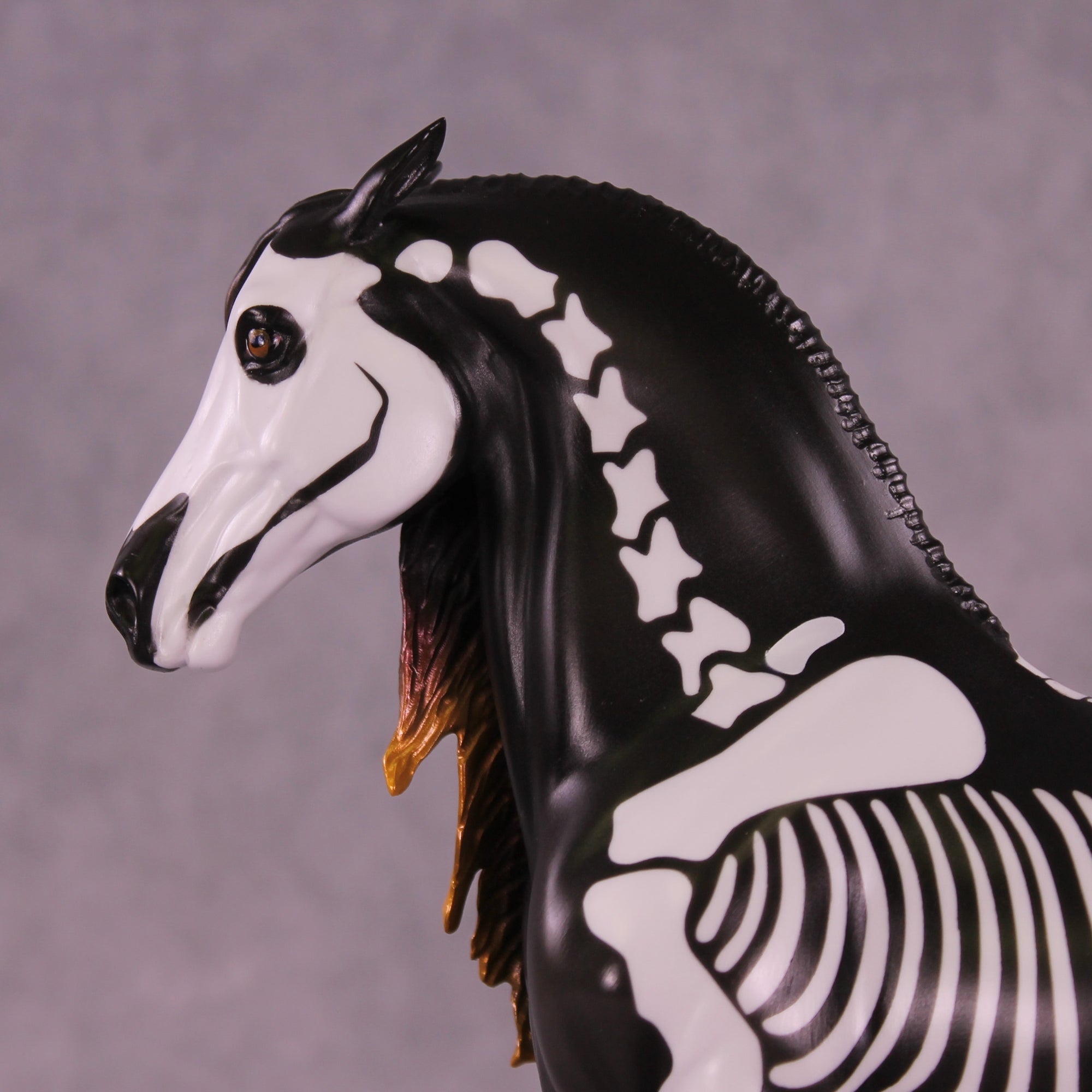 Dorsal Spinous Process of the T1 Vertebrae EFCM Morgan by Pernille F. Bøllingtoft Bøjsen 11/25/2025 SS1125