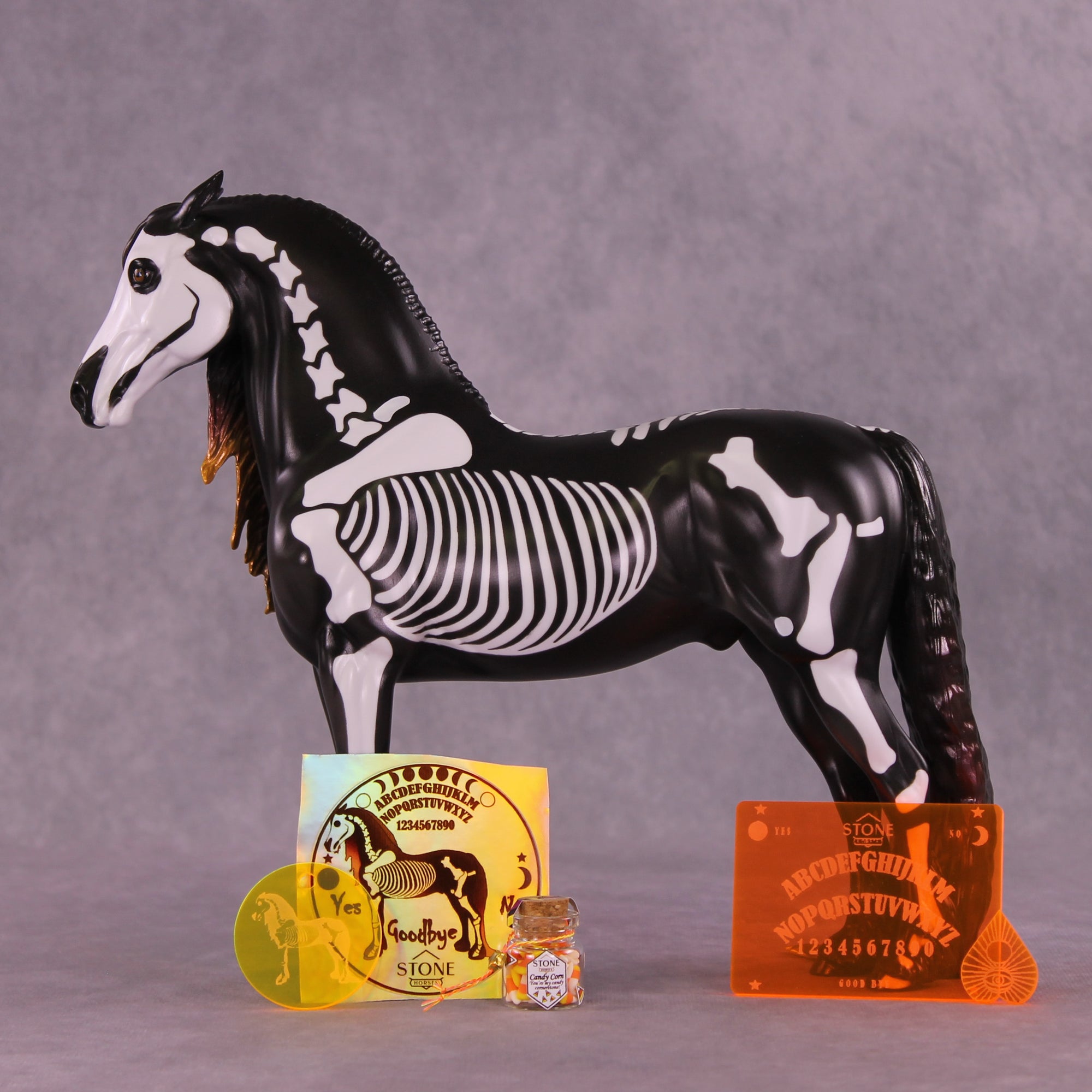 Dorsal Spinous Process of the T1 Vertebrae EFCM Morgan by Pernille F. Bøllingtoft Bøjsen 11/25/2025 SS1125