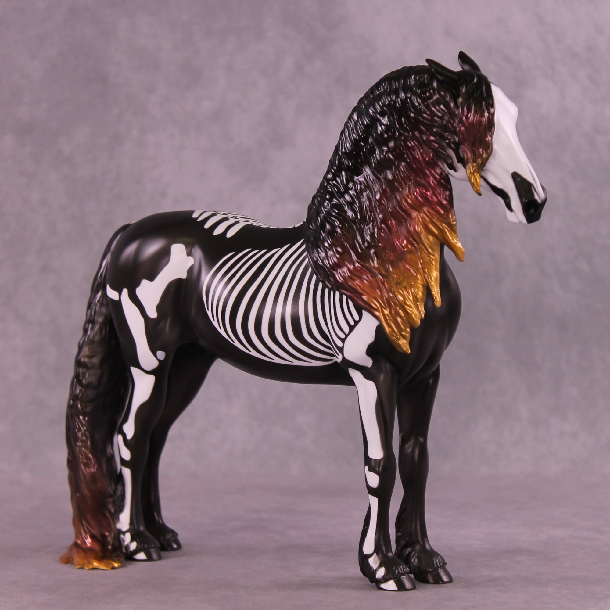 Dorsal Spinous Process of the T1 Vertebrae EFCM Morgan by Pernille F. Bøllingtoft Bøjsen 11/25/2025 SS1125