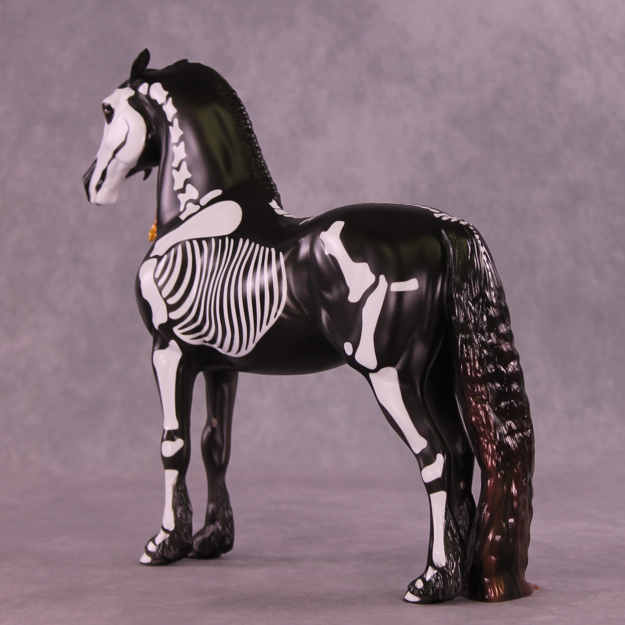 Dorsal Spinous Process of the T1 Vertebrae EFCM Morgan by Pernille F. Bøllingtoft Bøjsen 11/25/2025 SS1125