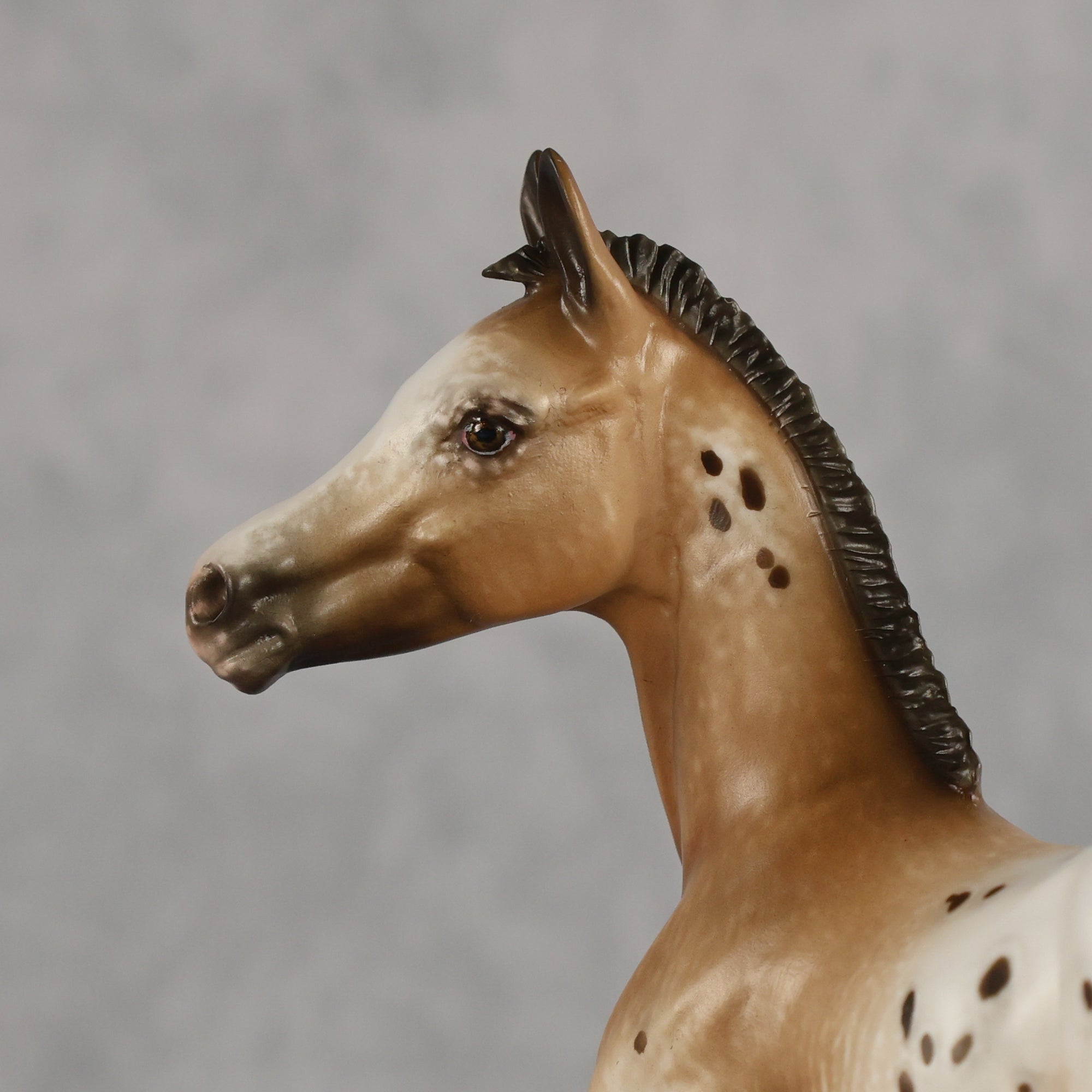 Doseedo OOAK FCM Arabian Foal by Sheryl Leisure Best Offer 6.2.2026