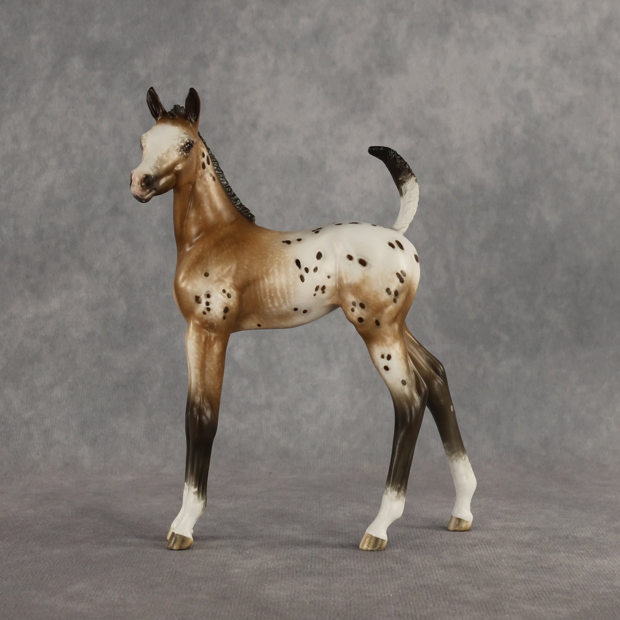 Doseedo OOAK FCM Arabian Foal by Sheryl Leisure Best Offer 6.2.2026