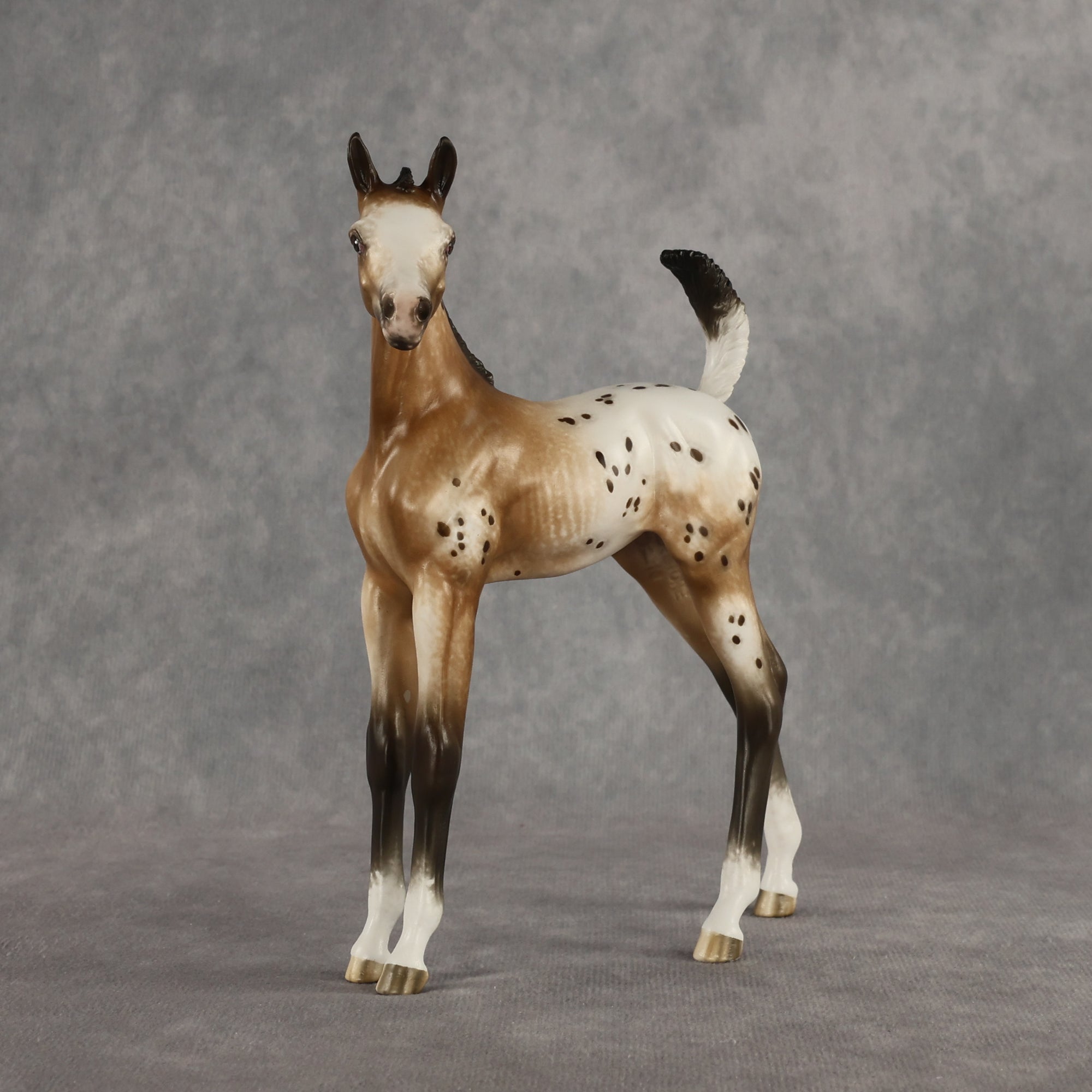 Doseedo OOAK FCM Arabian Foal by Sheryl Leisure Best Offer 6.2.2026