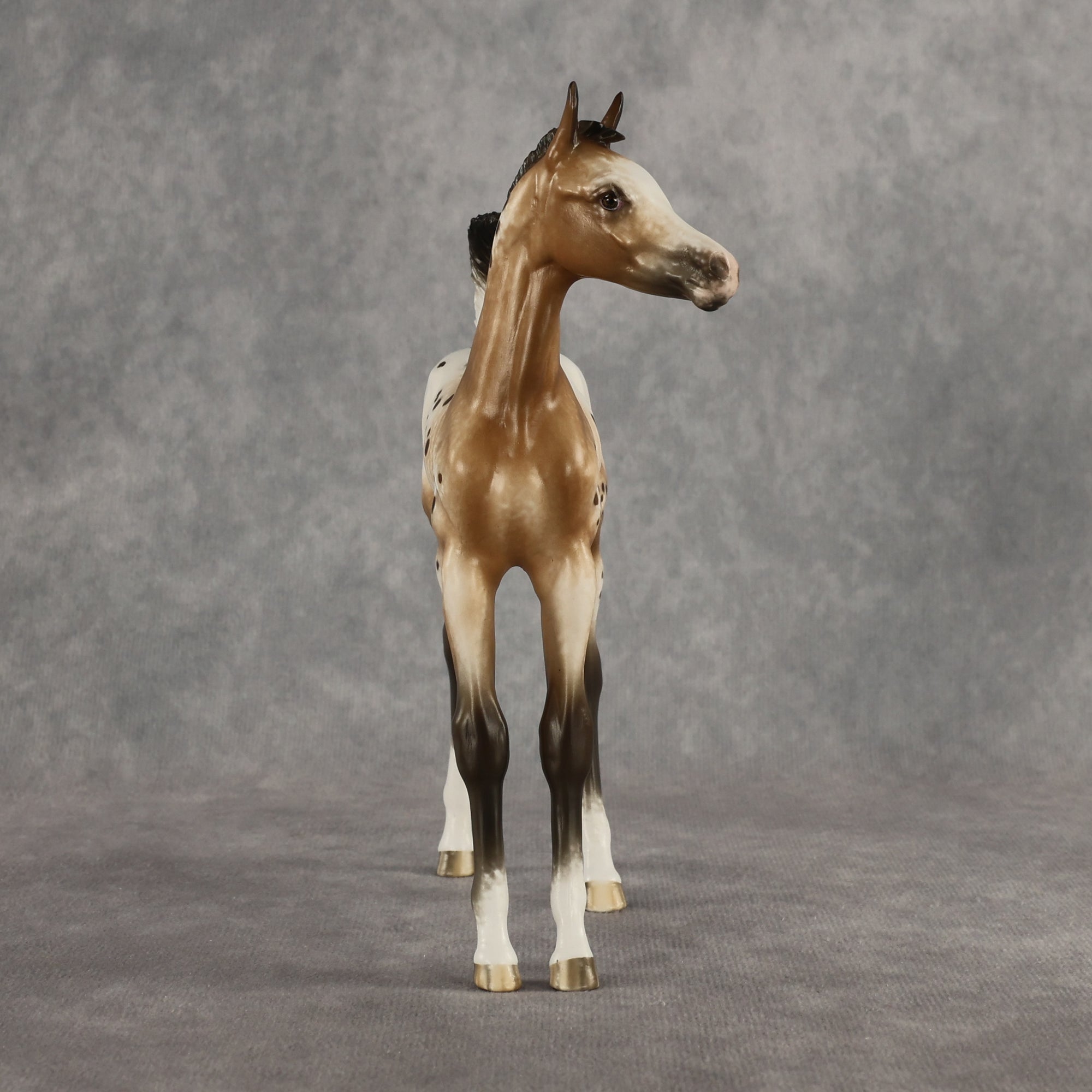 Doseedo OOAK FCM Arabian Foal by Sheryl Leisure Best Offer 6.2.2026