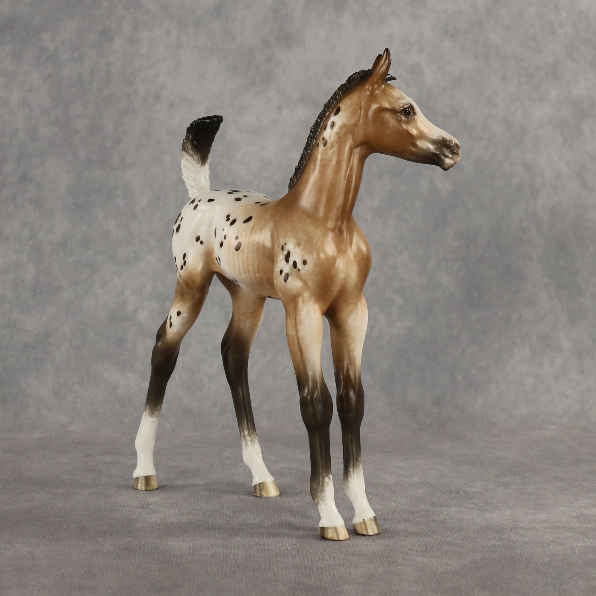 Doseedo OOAK FCM Arabian Foal by Sheryl Leisure Best Offer 6.2.2026