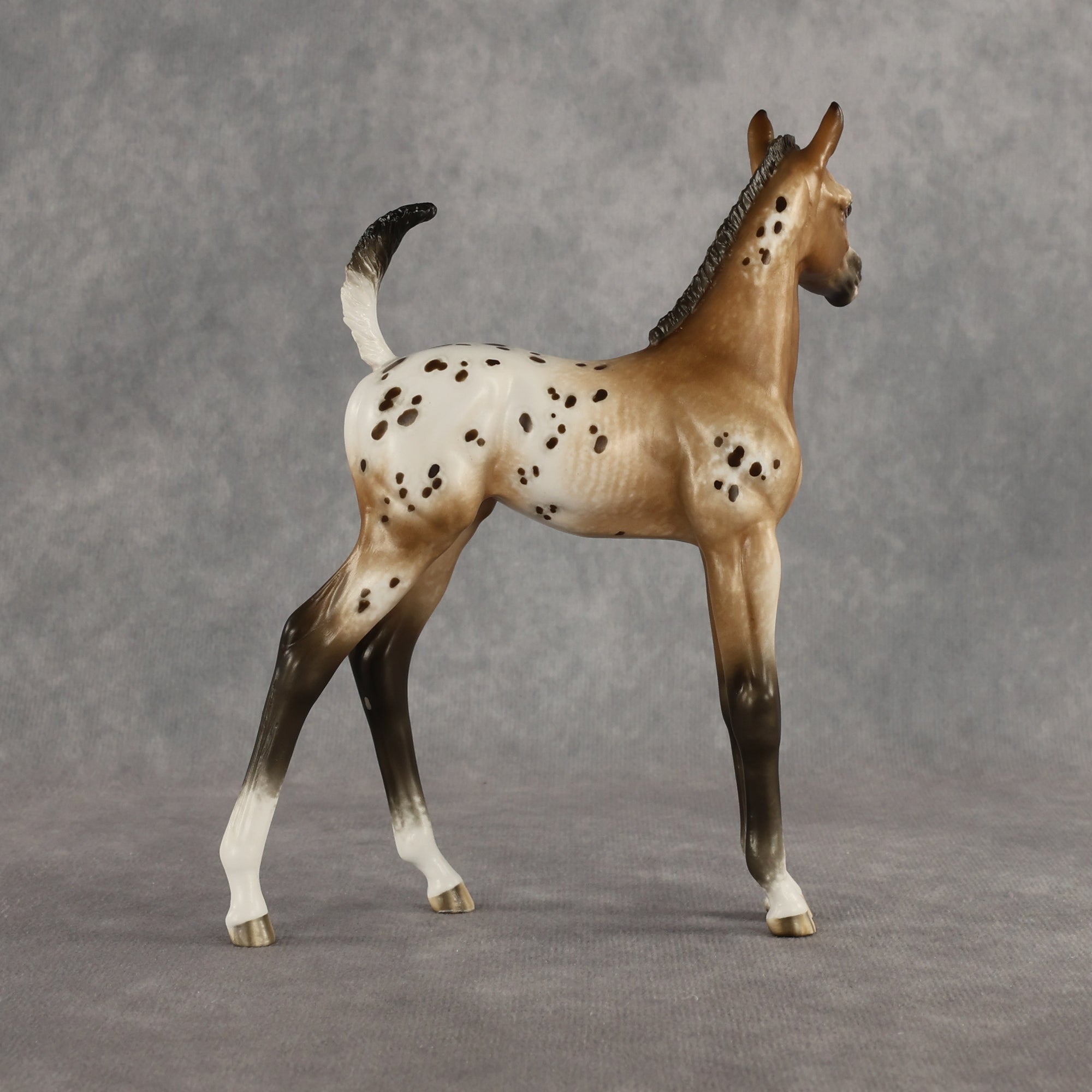 Doseedo OOAK FCM Arabian Foal by Sheryl Leisure Best Offer 6.2.2026
