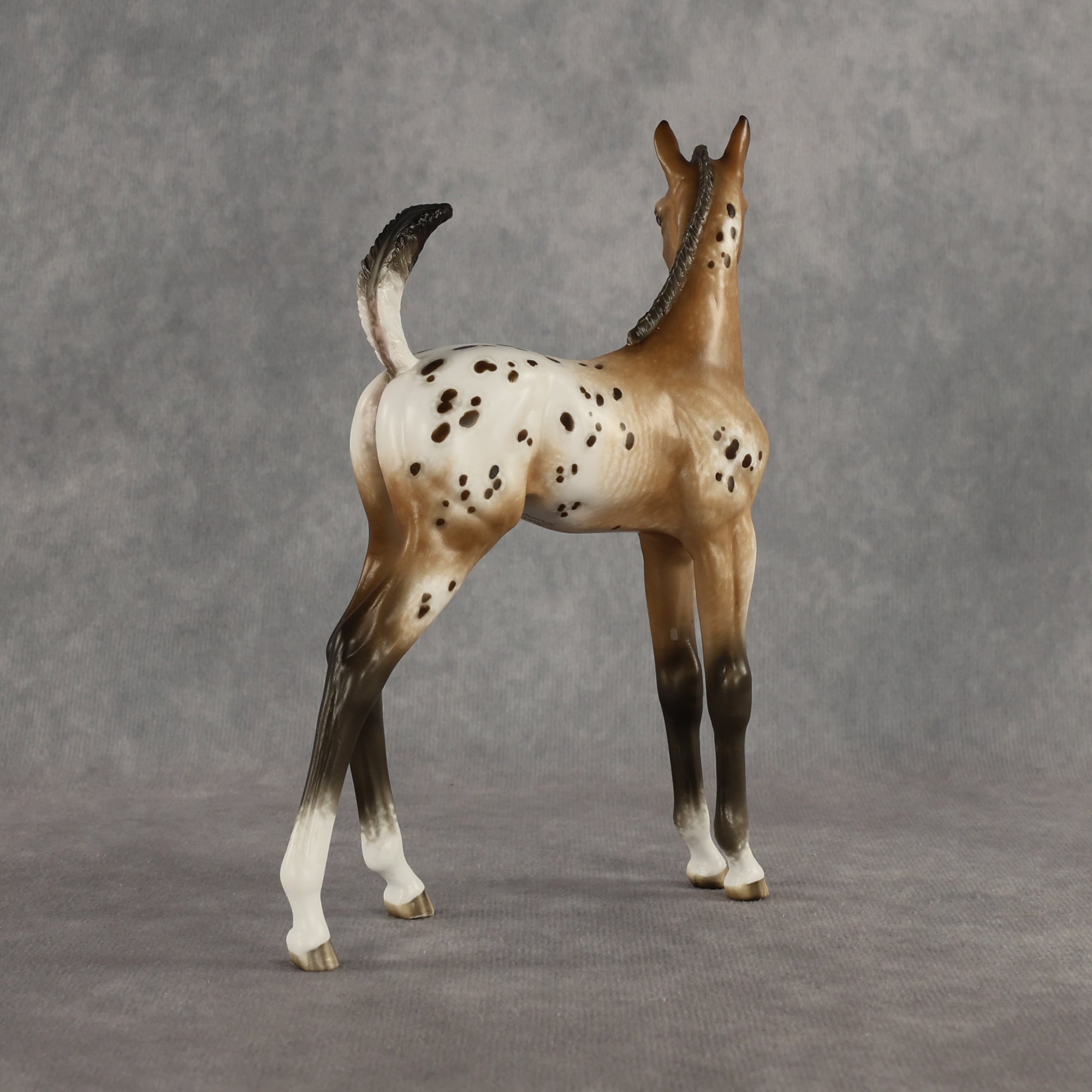 Doseedo OOAK FCM Arabian Foal by Sheryl Leisure Best Offer 6.2.2026