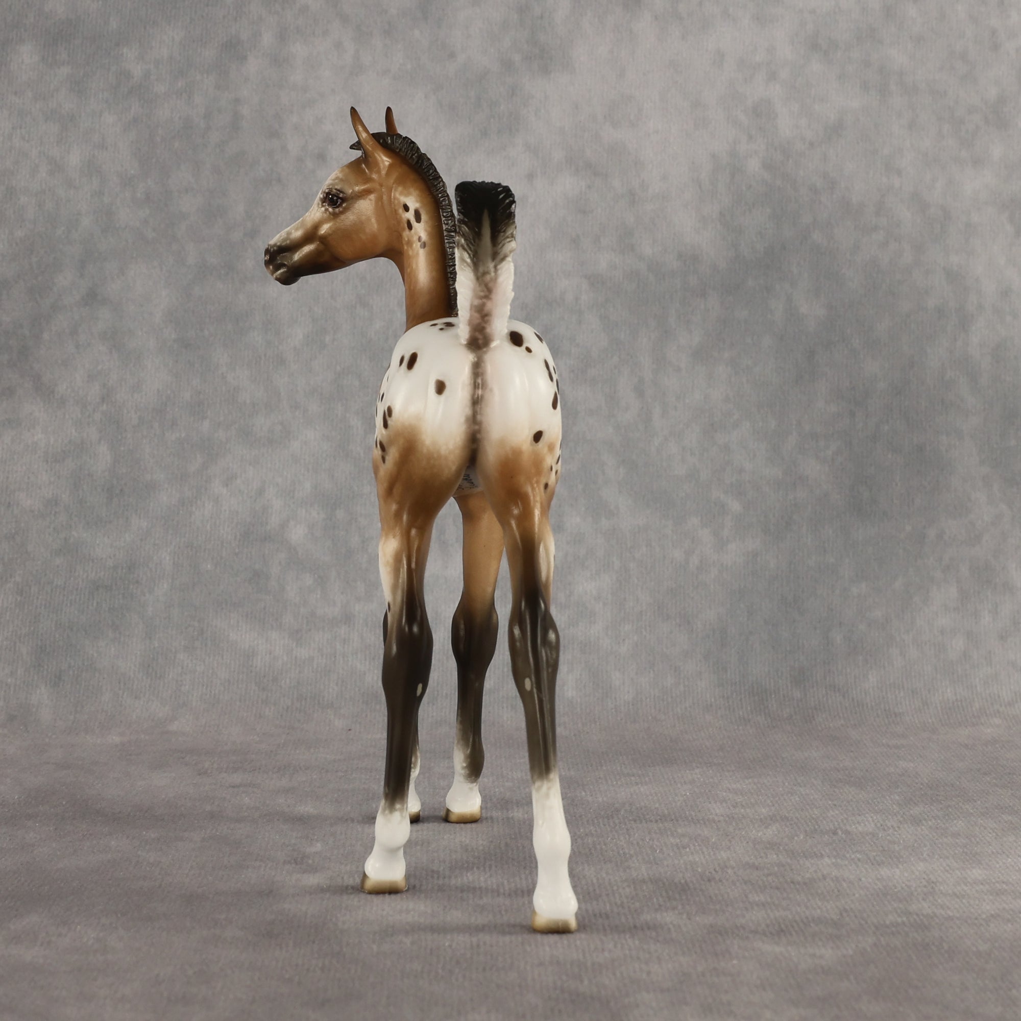 Doseedo OOAK FCM Arabian Foal by Sheryl Leisure Best Offer 6.2.2026