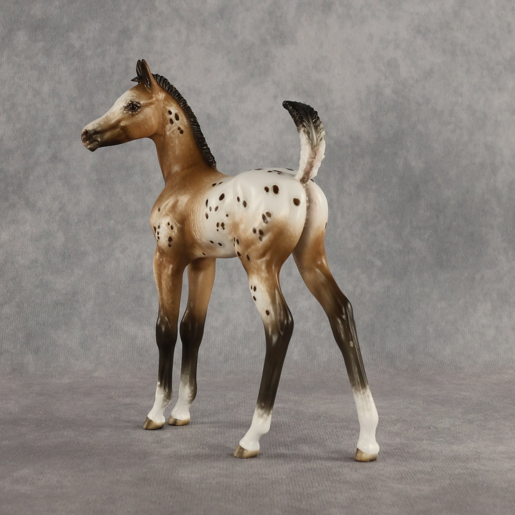 Doseedo OOAK FCM Arabian Foal by Sheryl Leisure Best Offer 6.2.2026