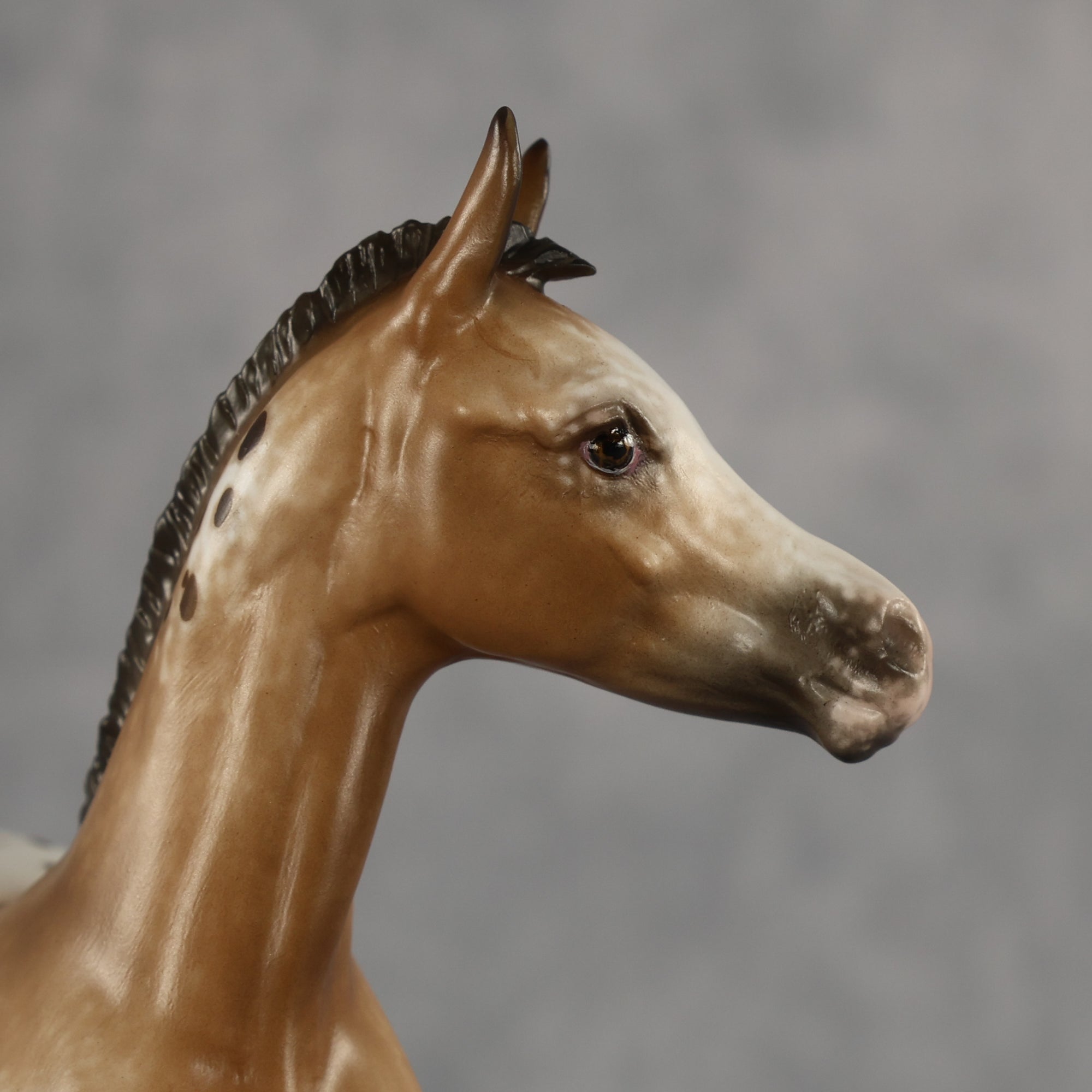 Doseedo OOAK FCM Arabian Foal by Sheryl Leisure Best Offer 6.2.2026