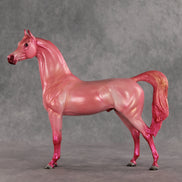 Doubly Bubbly OOAK Arabian Stallion by Angela Marleau VV26
