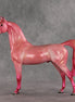 Doubly Bubbly OOAK Arabian Stallion by Angela Marleau VV26