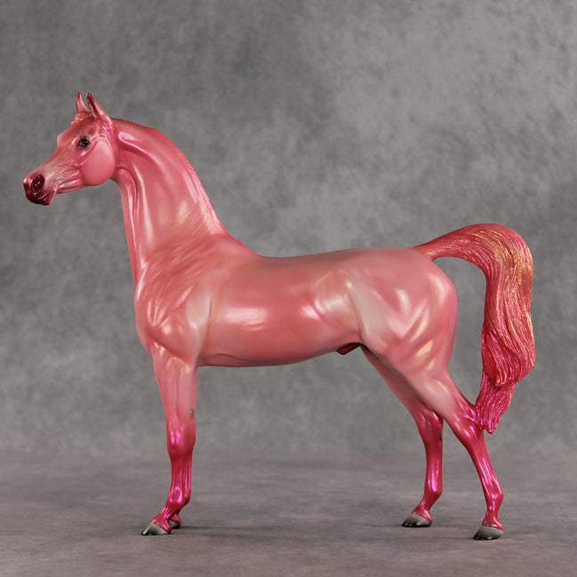 Doubly Bubbly OOAK Arabian Stallion by Angela Marleau VV26