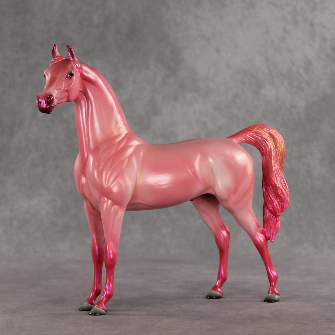 Doubly Bubbly OOAK Arabian Stallion by Angela Marleau VV26