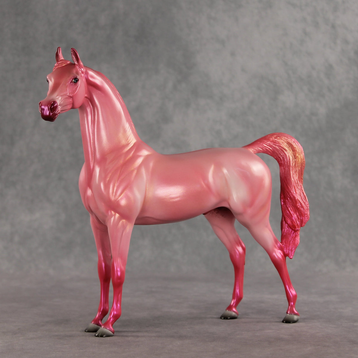 Doubly Bubbly OOAK Arabian Stallion by Angela Marleau VV26