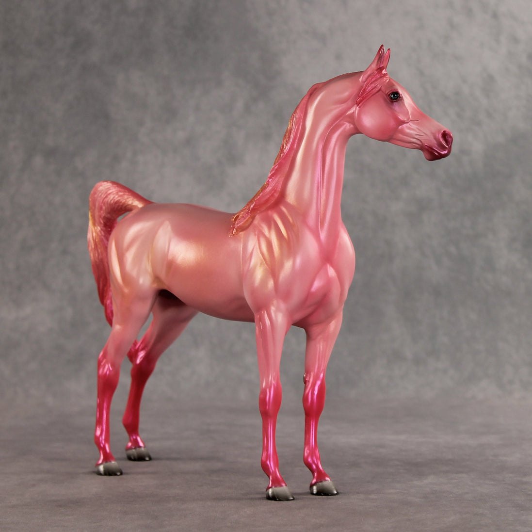 Doubly Bubbly OOAK Arabian Stallion by Angela Marleau VV26