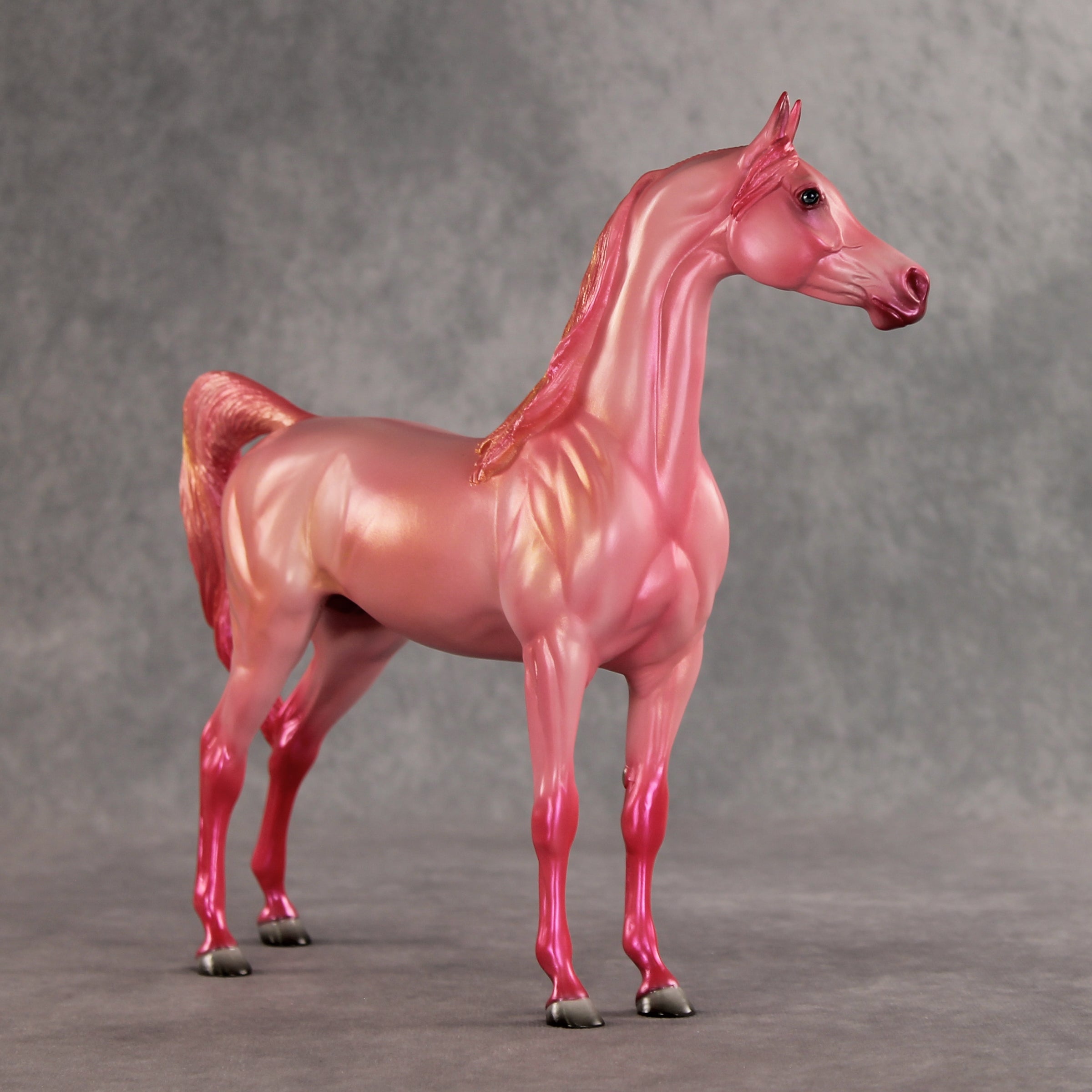 Doubly Bubbly OOAK Arabian Stallion by Angela Marleau VV26
