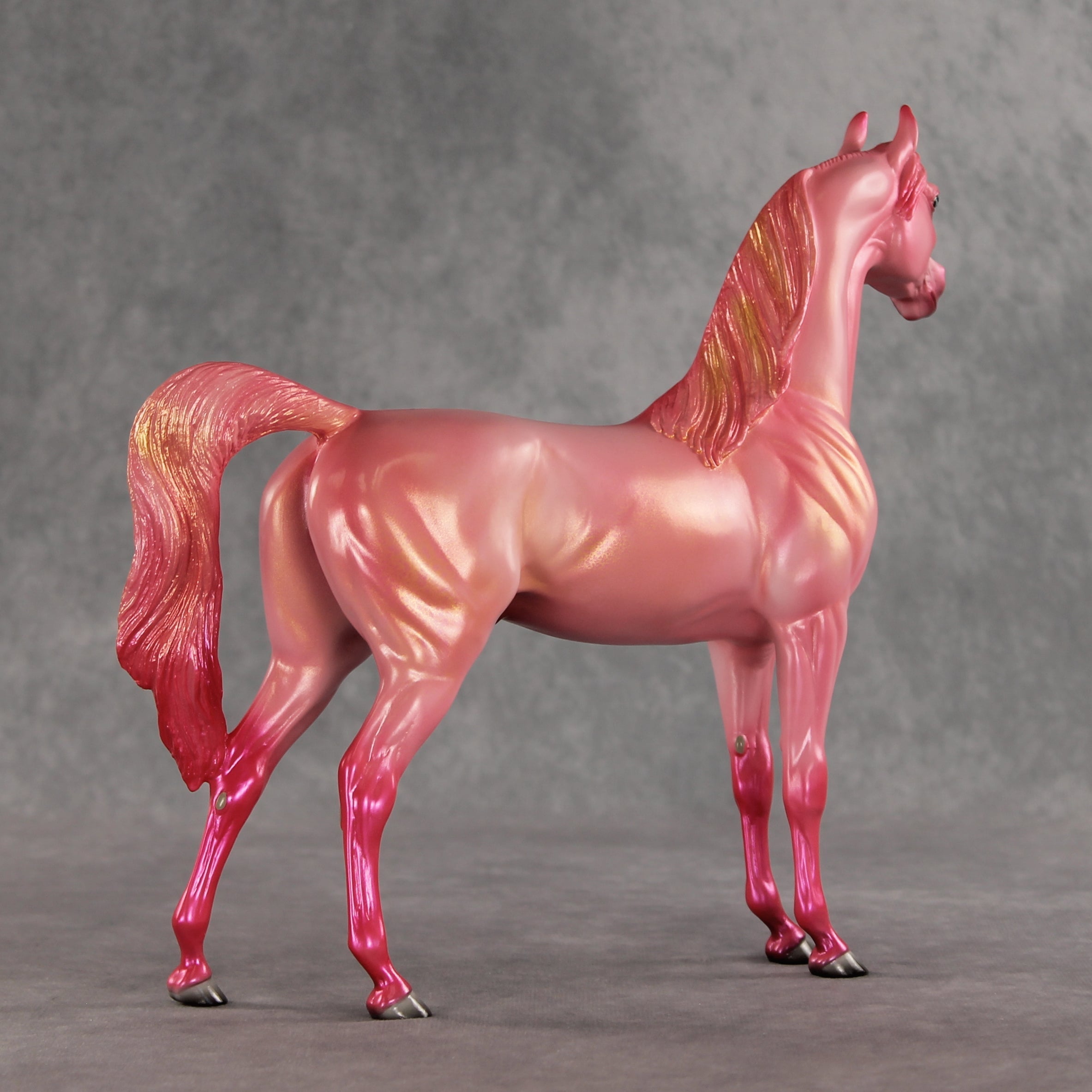 Doubly Bubbly OOAK Arabian Stallion by Angela Marleau VV26