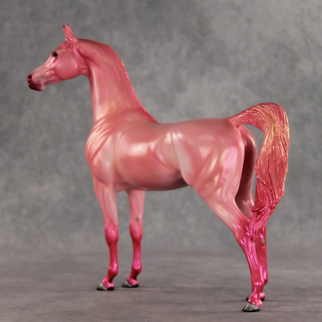 Doubly Bubbly OOAK Arabian Stallion by Angela Marleau VV26