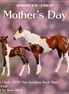 Dove & Chick OOAK Chip FCM Stock Horse & Chip Foal by Anna Rieck SCD26