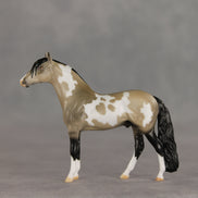 Dream Boat OOAK Chip Andalusian by Anna Rieck VV26