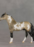 Dream Boat OOAK Chip Andalusian by Anna Rieck VV26