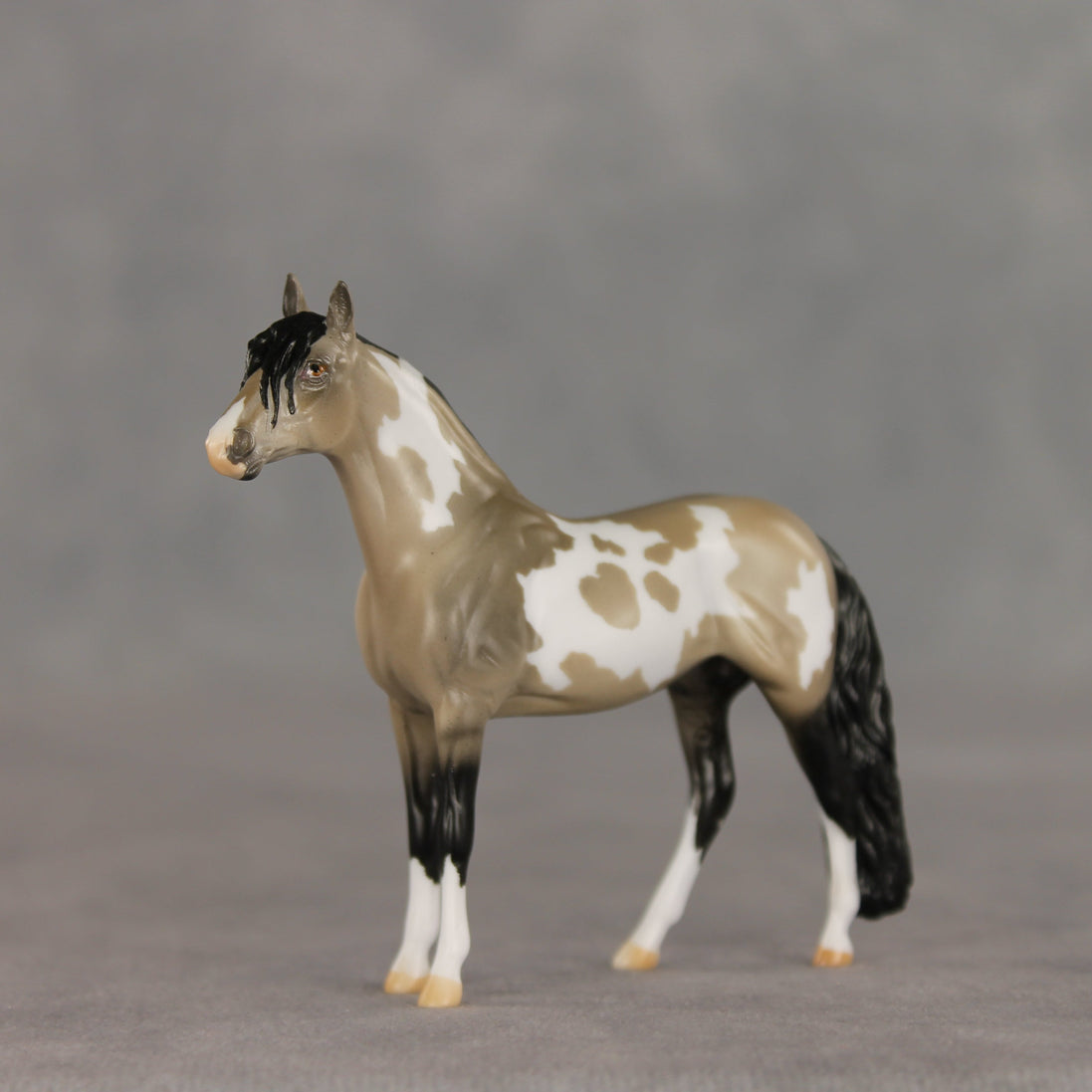Dream Boat OOAK Chip Andalusian by Anna Rieck VV26