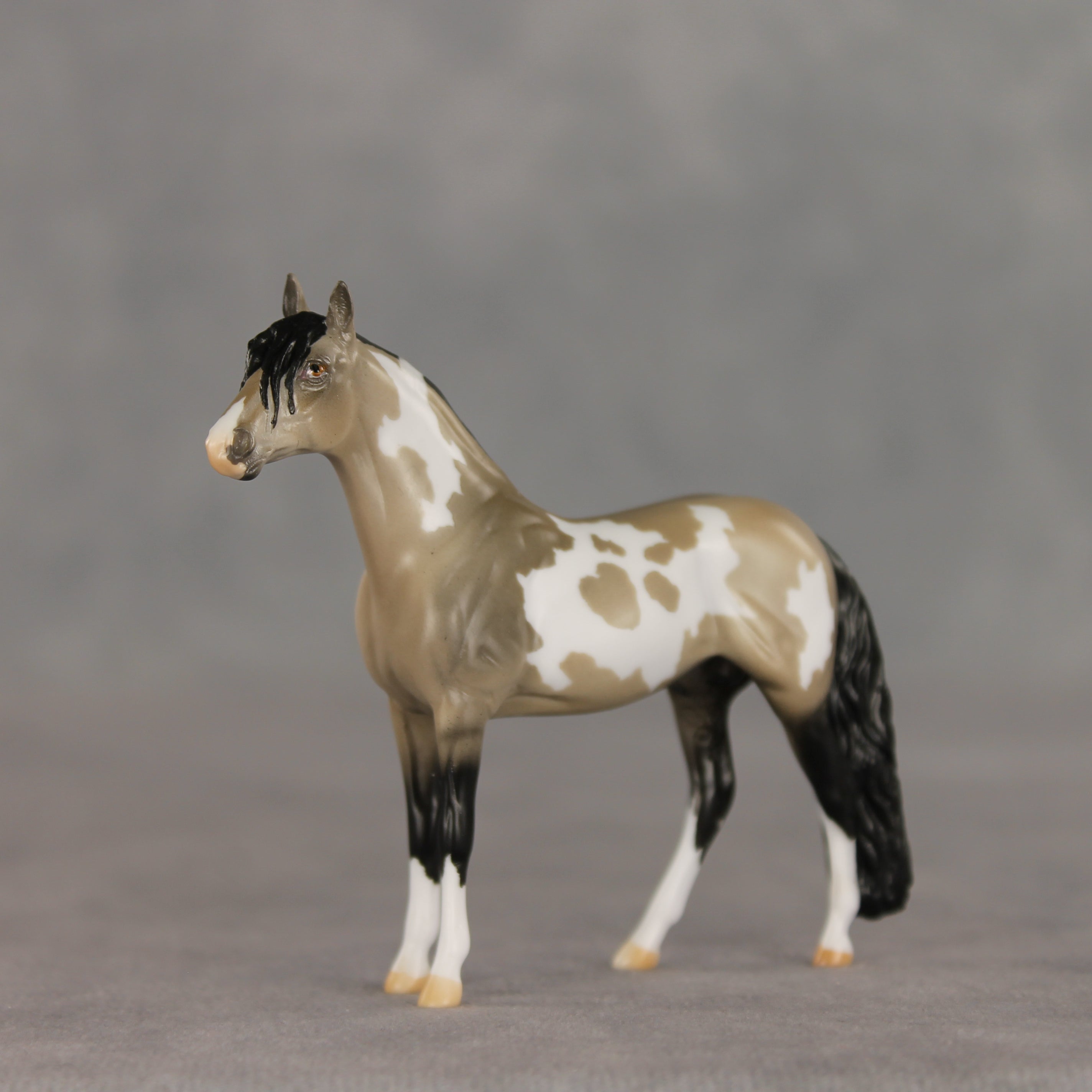 Dream Boat OOAK Chip Andalusian by Anna Rieck VV26