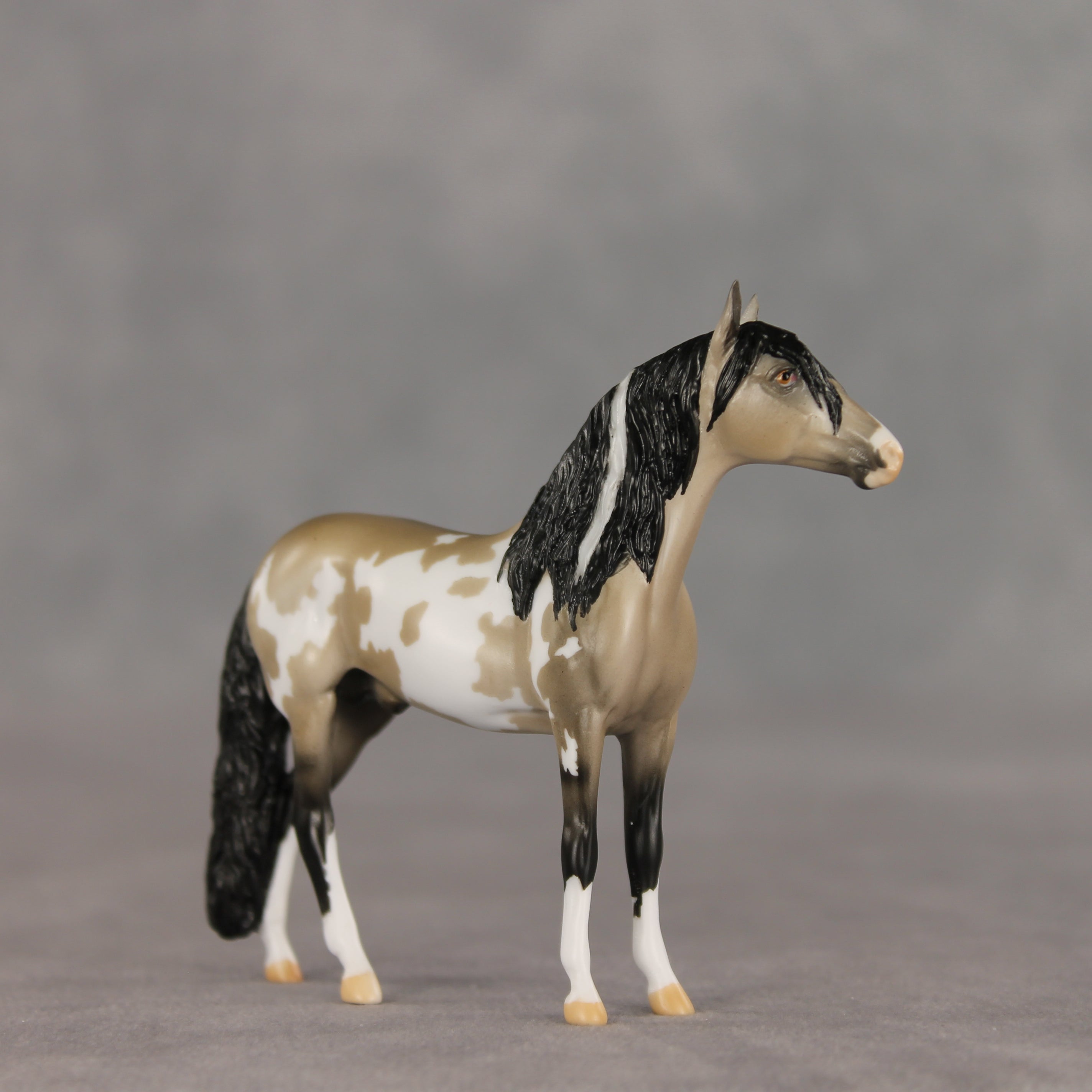 Dream Boat OOAK Chip Andalusian by Anna Rieck VV26
