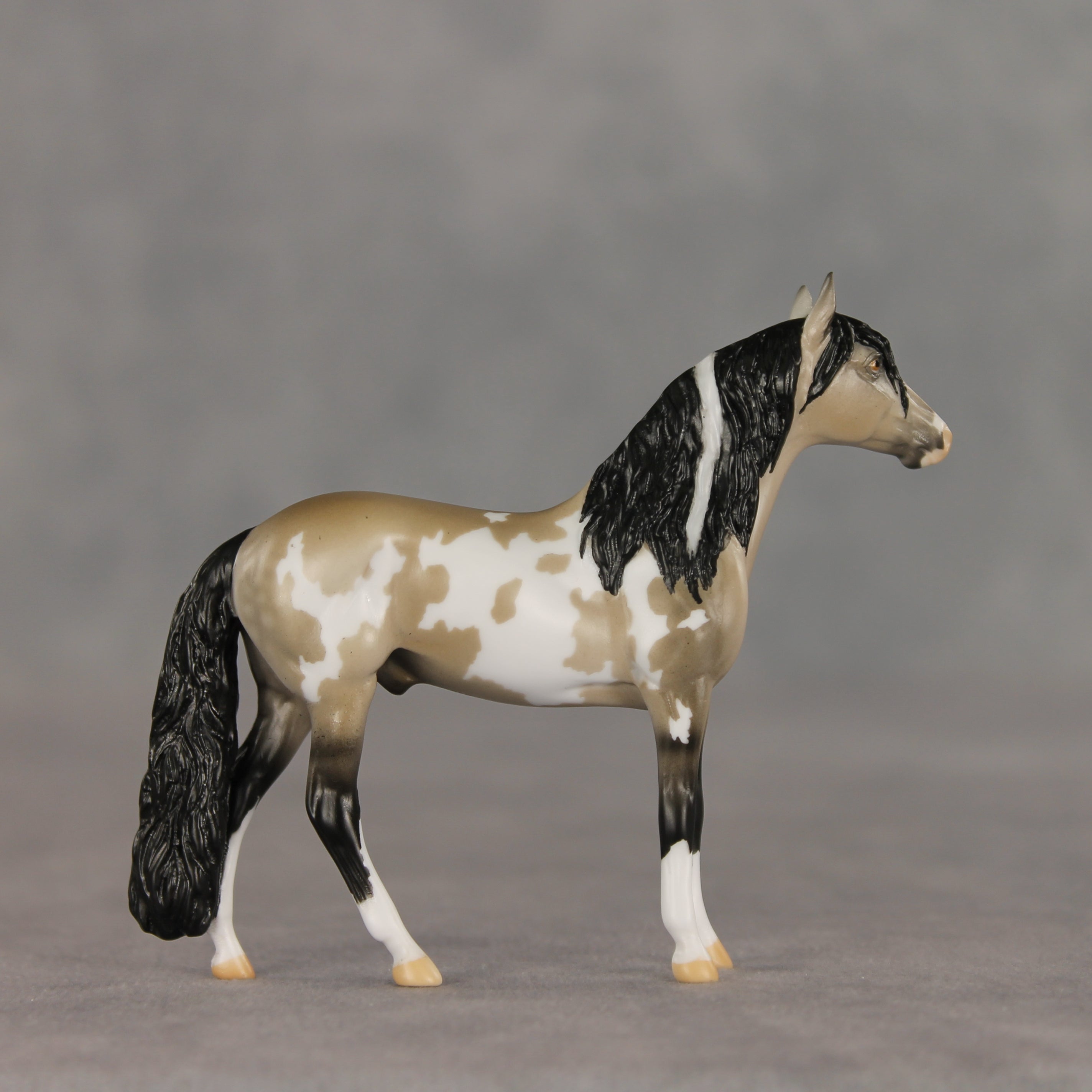 Dream Boat OOAK Chip Andalusian by Anna Rieck VV26