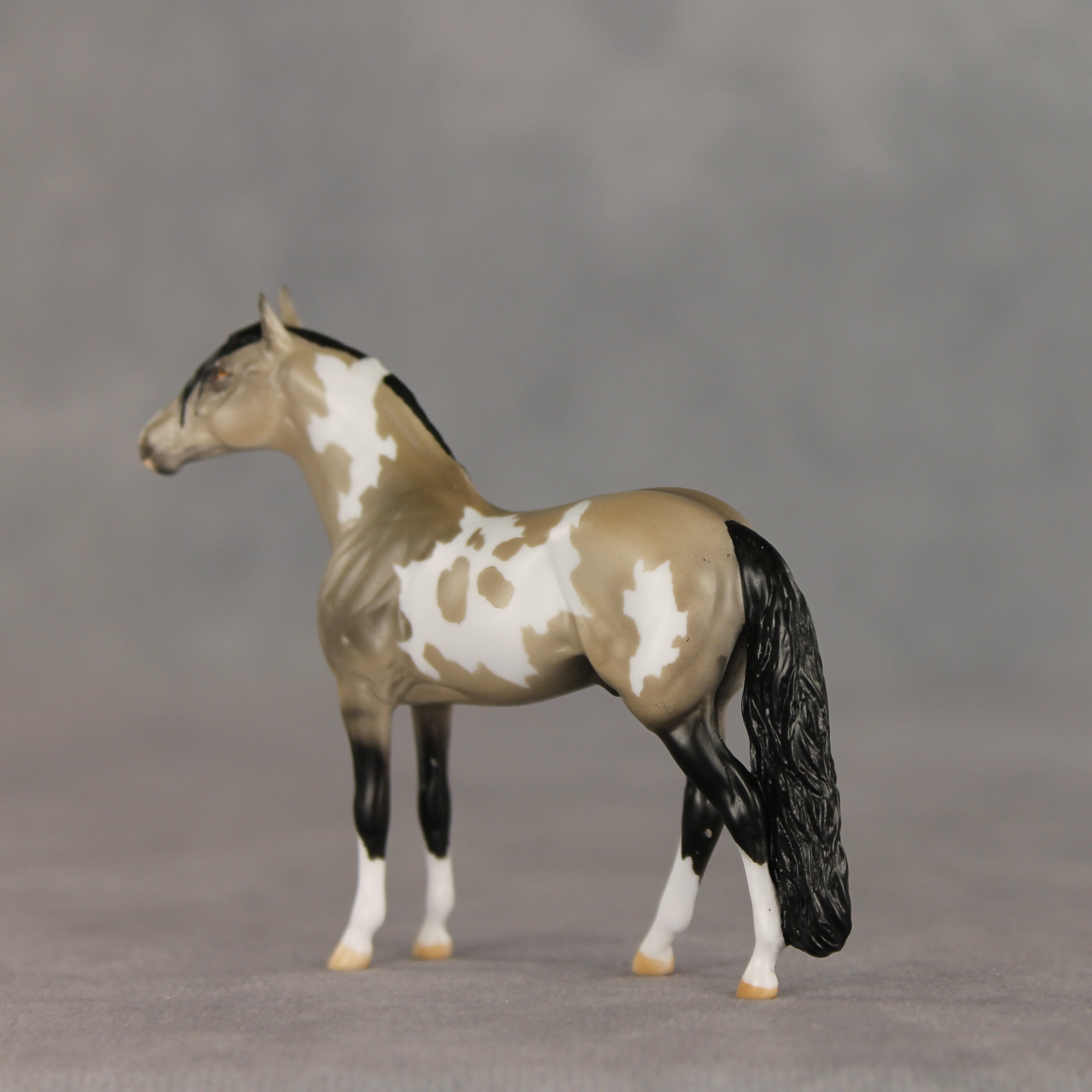 Dream Boat OOAK Chip Andalusian by Anna Rieck VV26