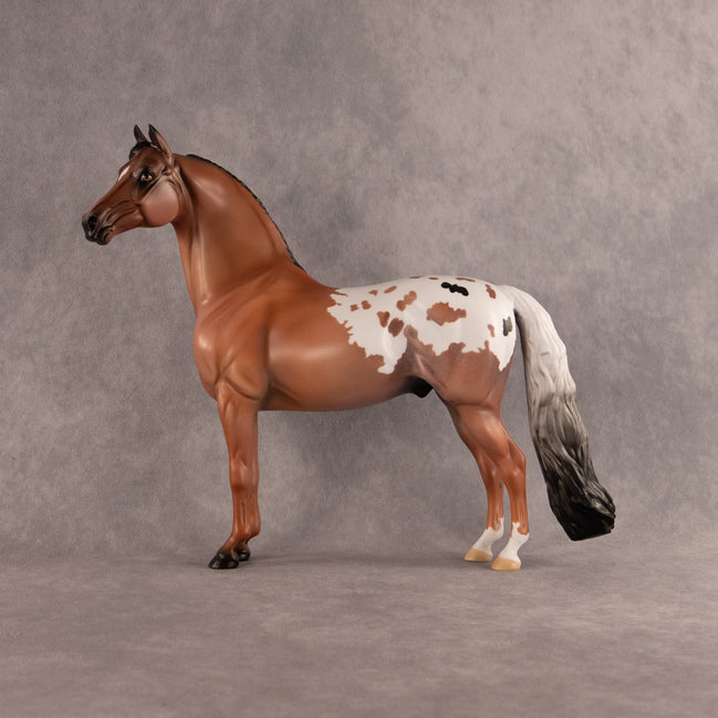 Dried Grassland OOAK Morgan by Alex Fortman EQ26