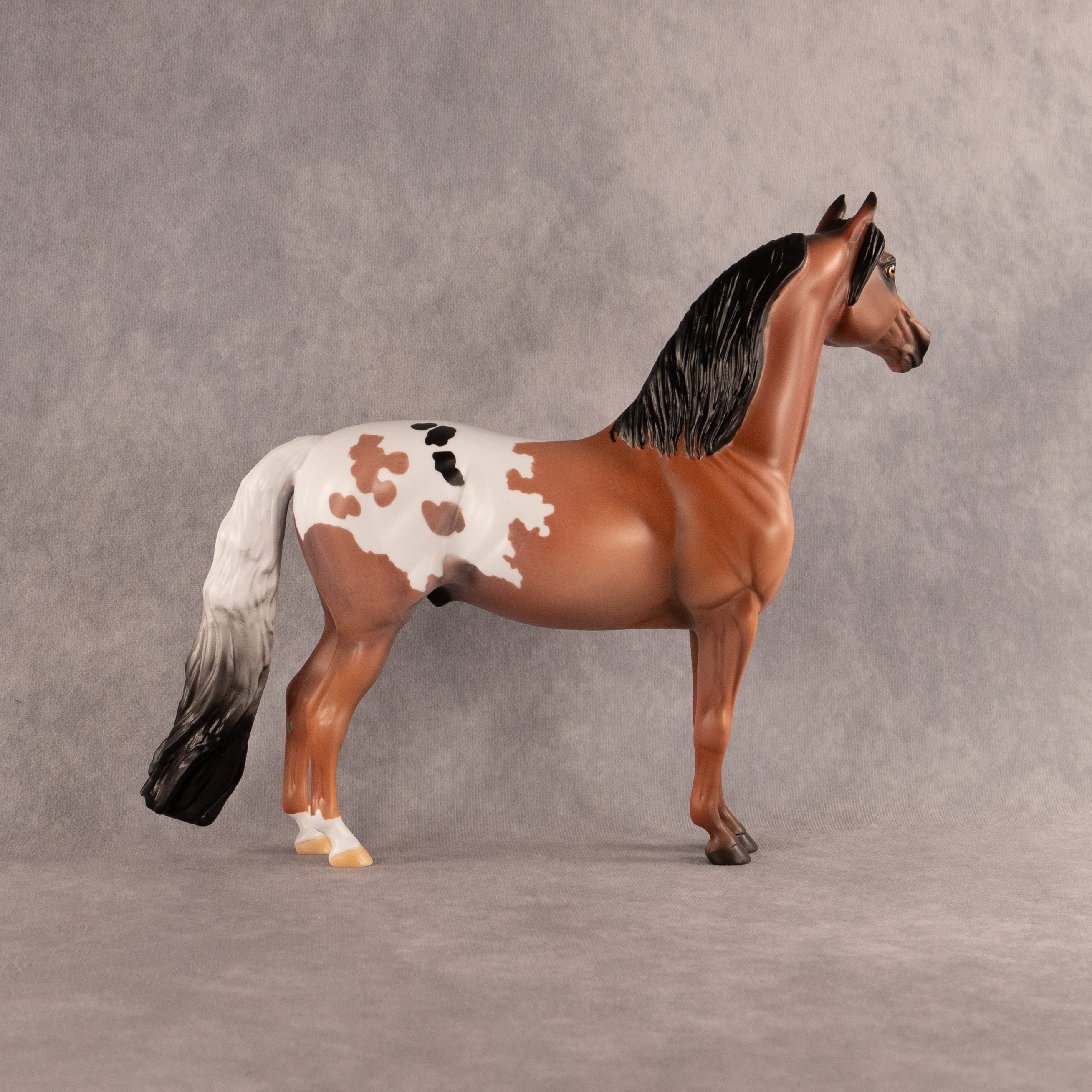 Dried Grassland OOAK Morgan by Alex Fortman EQ26