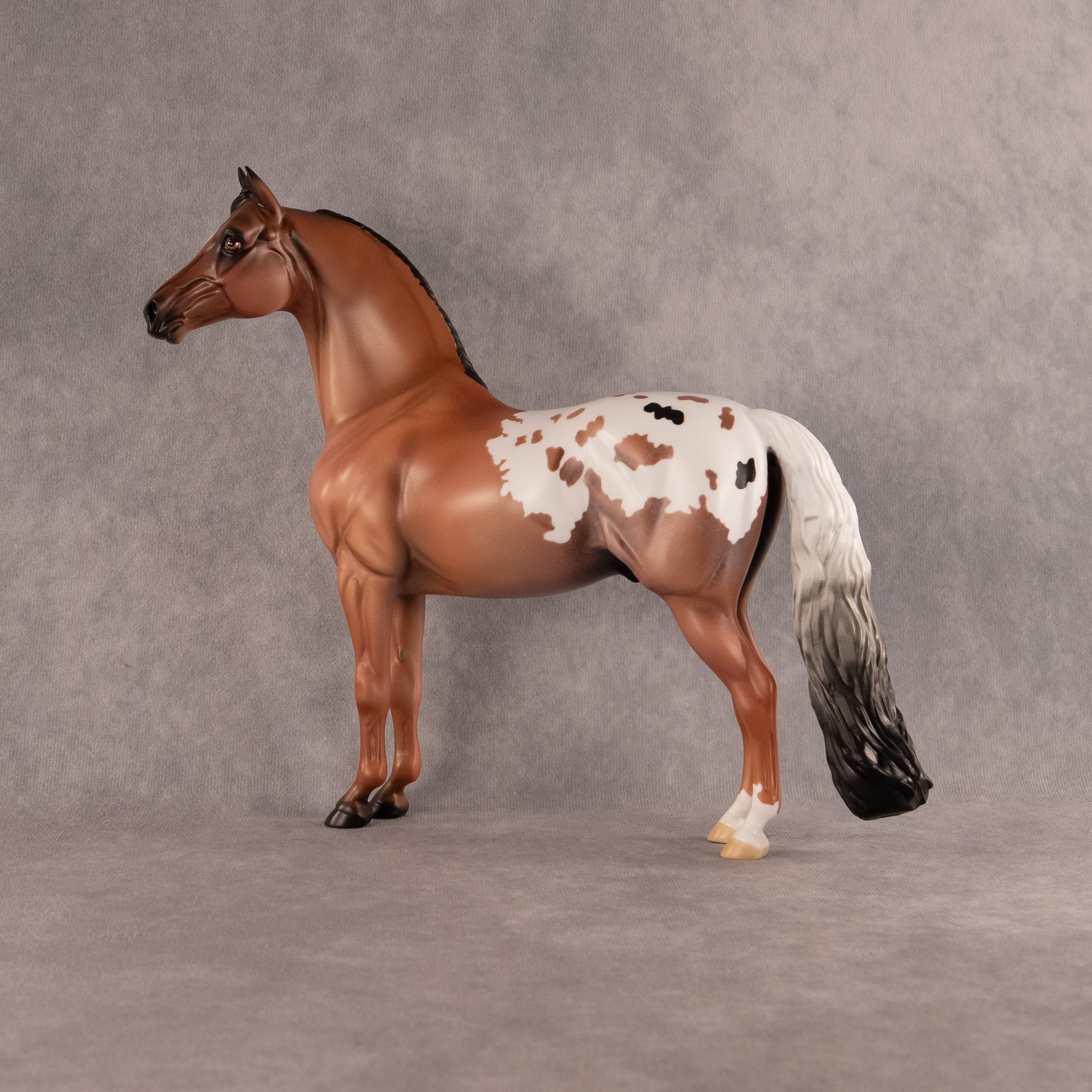 Dried Grassland OOAK Morgan by Alex Fortman EQ26