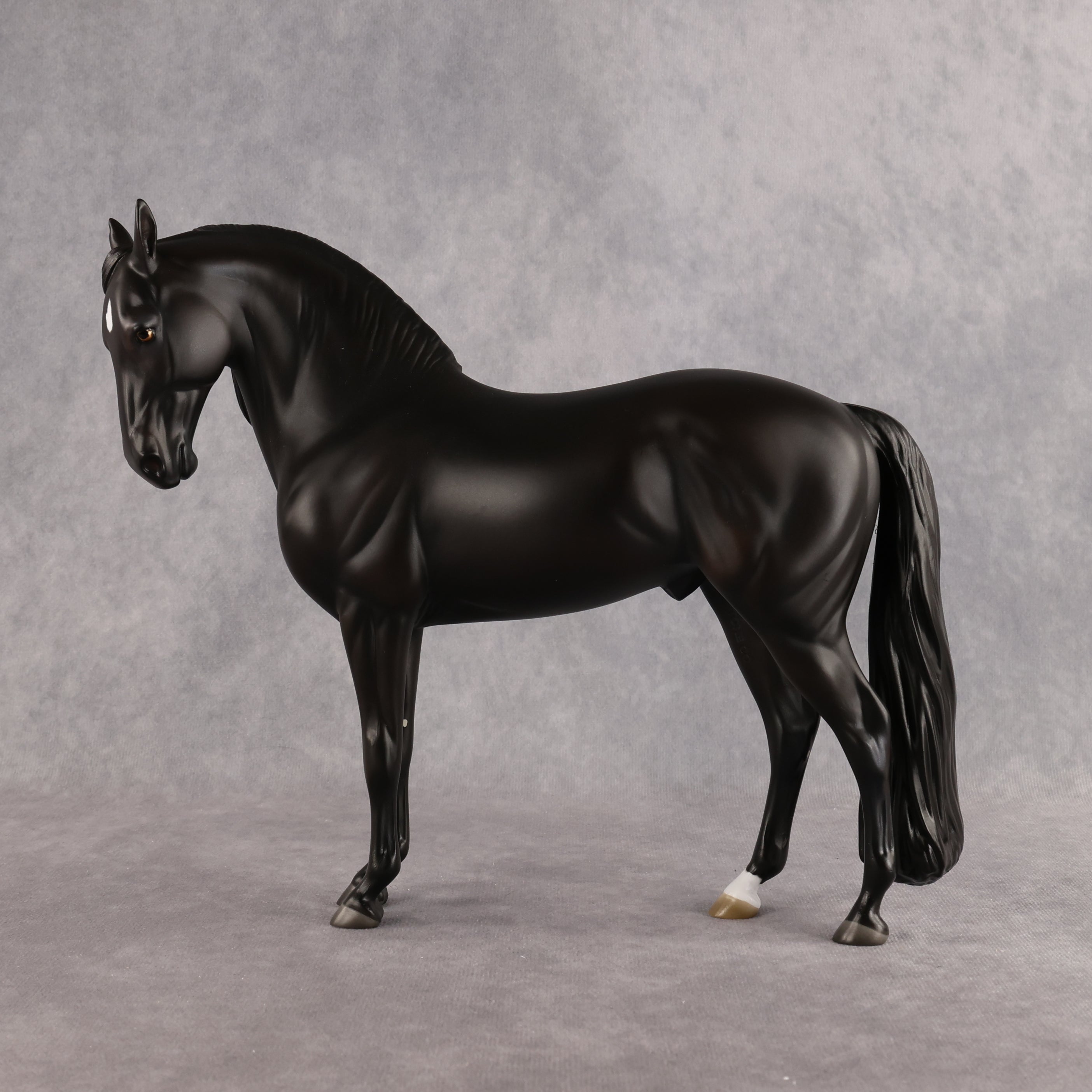 Drogo LE-7 FCM Andalusian by Ashley Palmer EL26