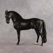 Drogo LE-7 FCM Andalusian by Ashley Palmer EL26