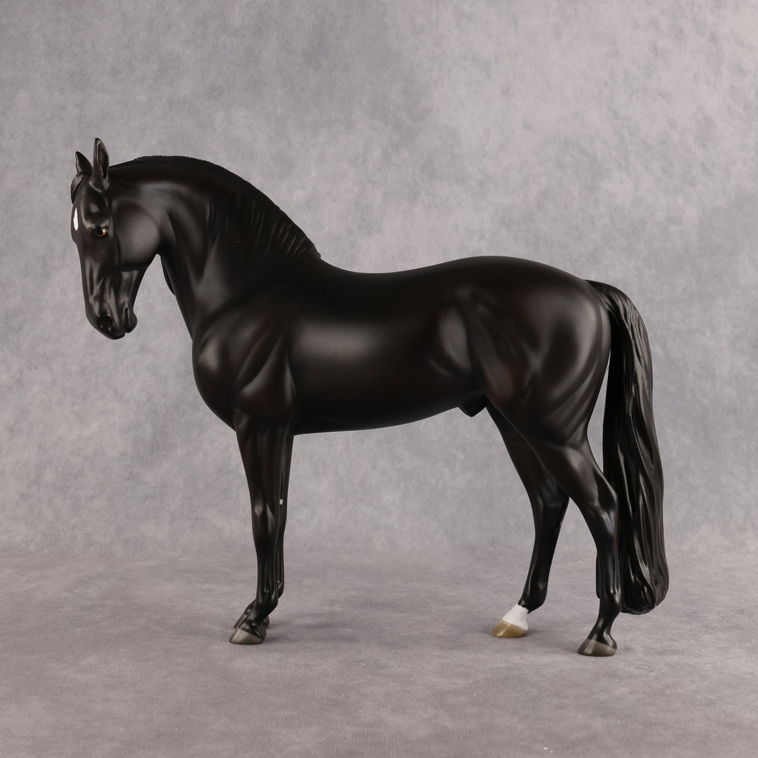 Drogo LE-7 FCM Andalusian by Ashley Palmer EL26