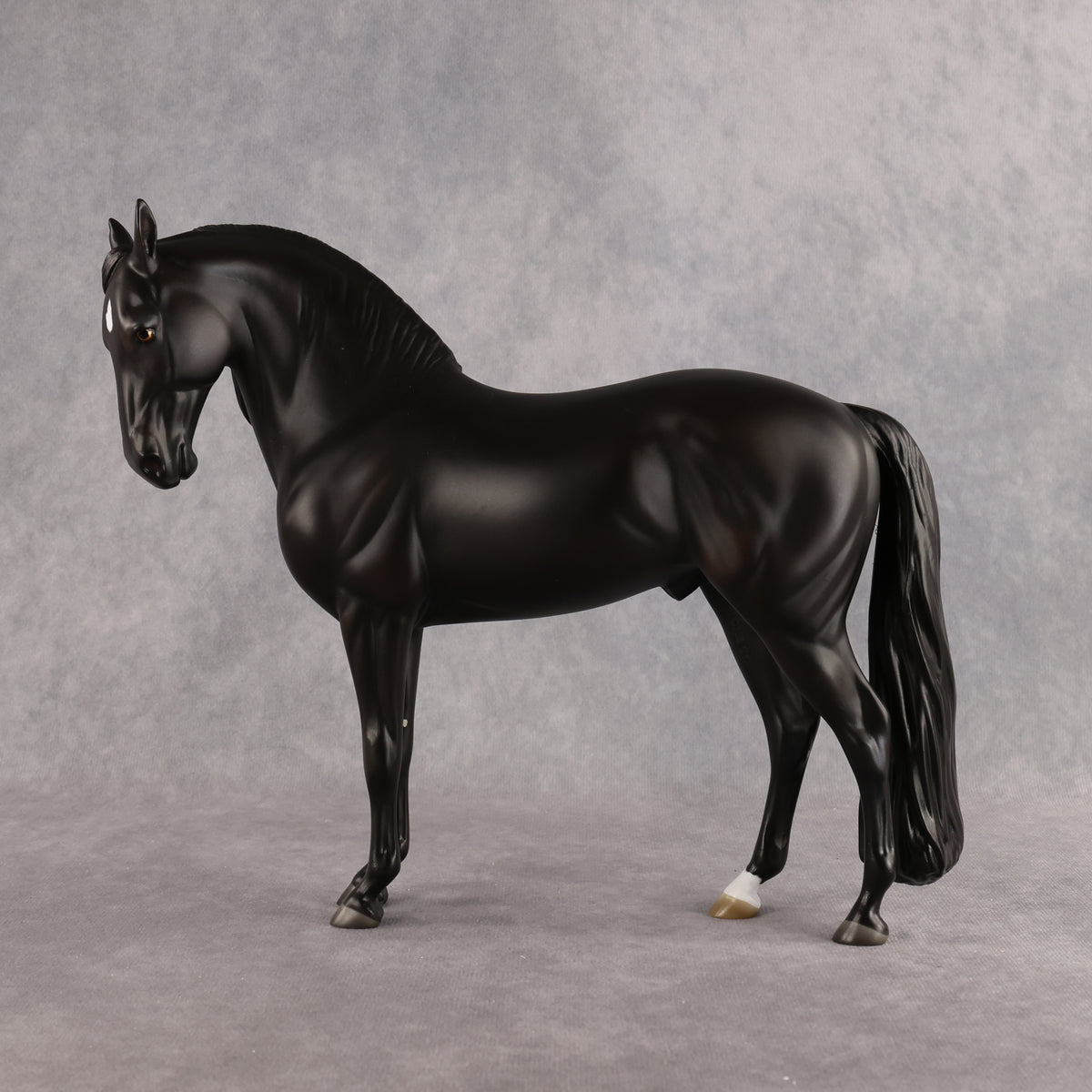 Drogo LE-7 FCM Andalusian by Ashley Palmer EL26