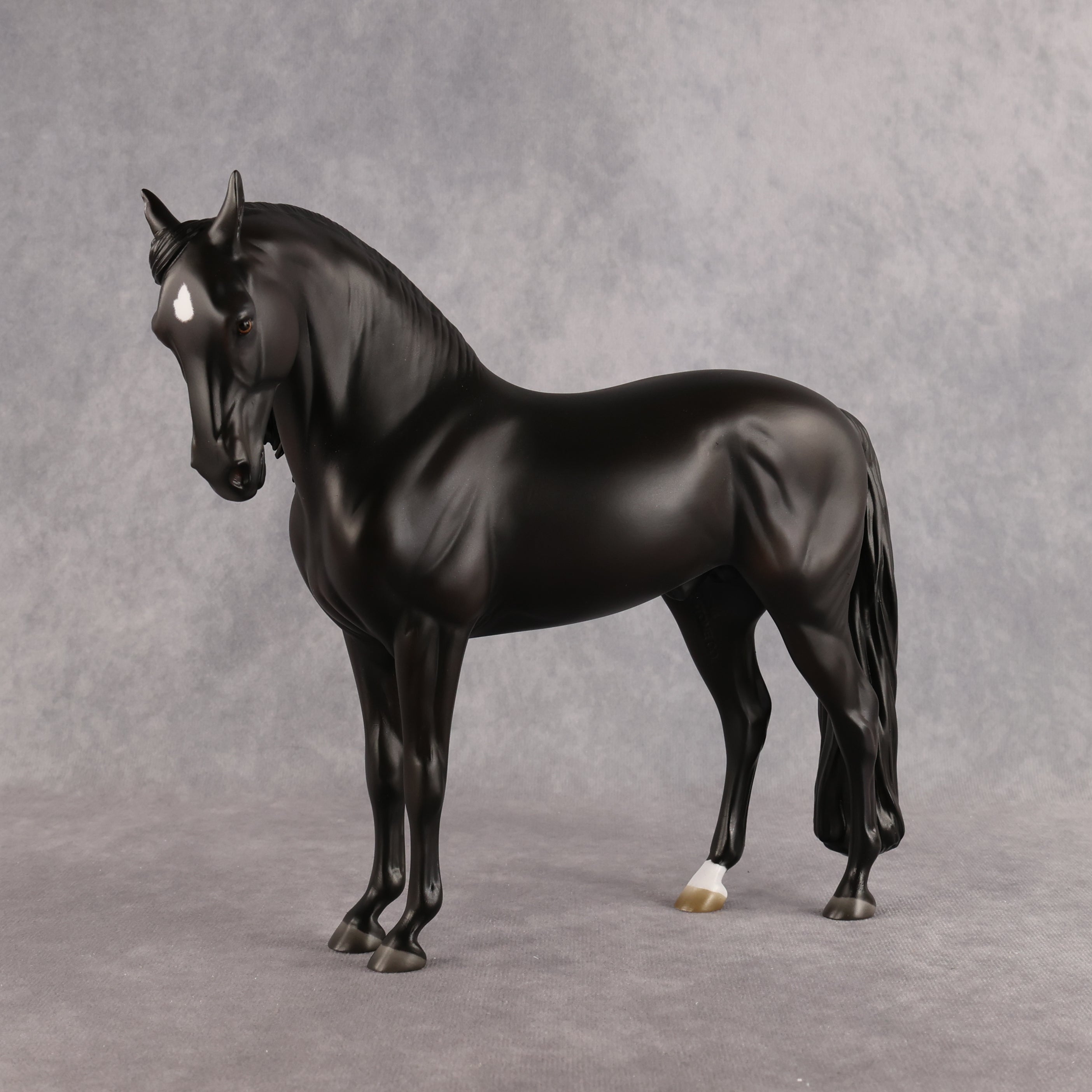 Drogo LE-7 FCM Andalusian by Ashley Palmer EL26