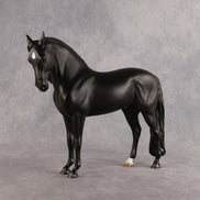 Drogo LE-7 FCM Andalusian by Ashley Palmer EL26