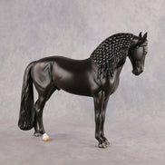 Drogo LE-7 FCM Andalusian by Ashley Palmer EL26
