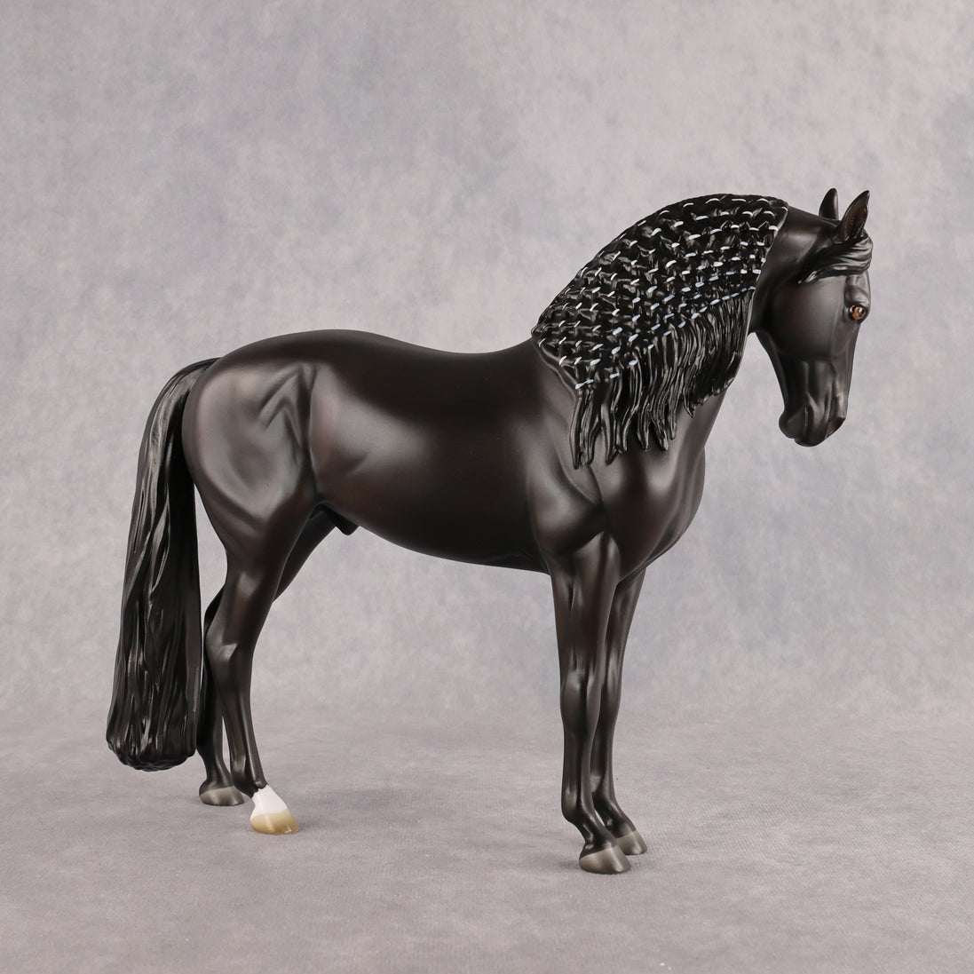 Drogo LE-7 FCM Andalusian by Ashley Palmer EL26