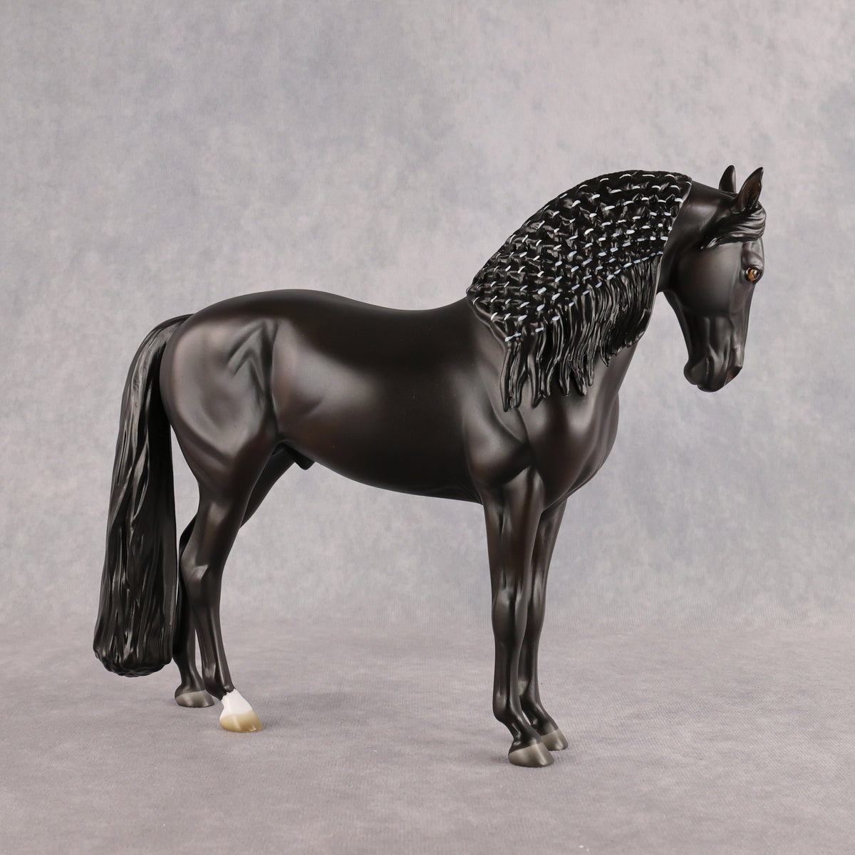 Drogo LE-7 FCM Andalusian by Ashley Palmer EL26