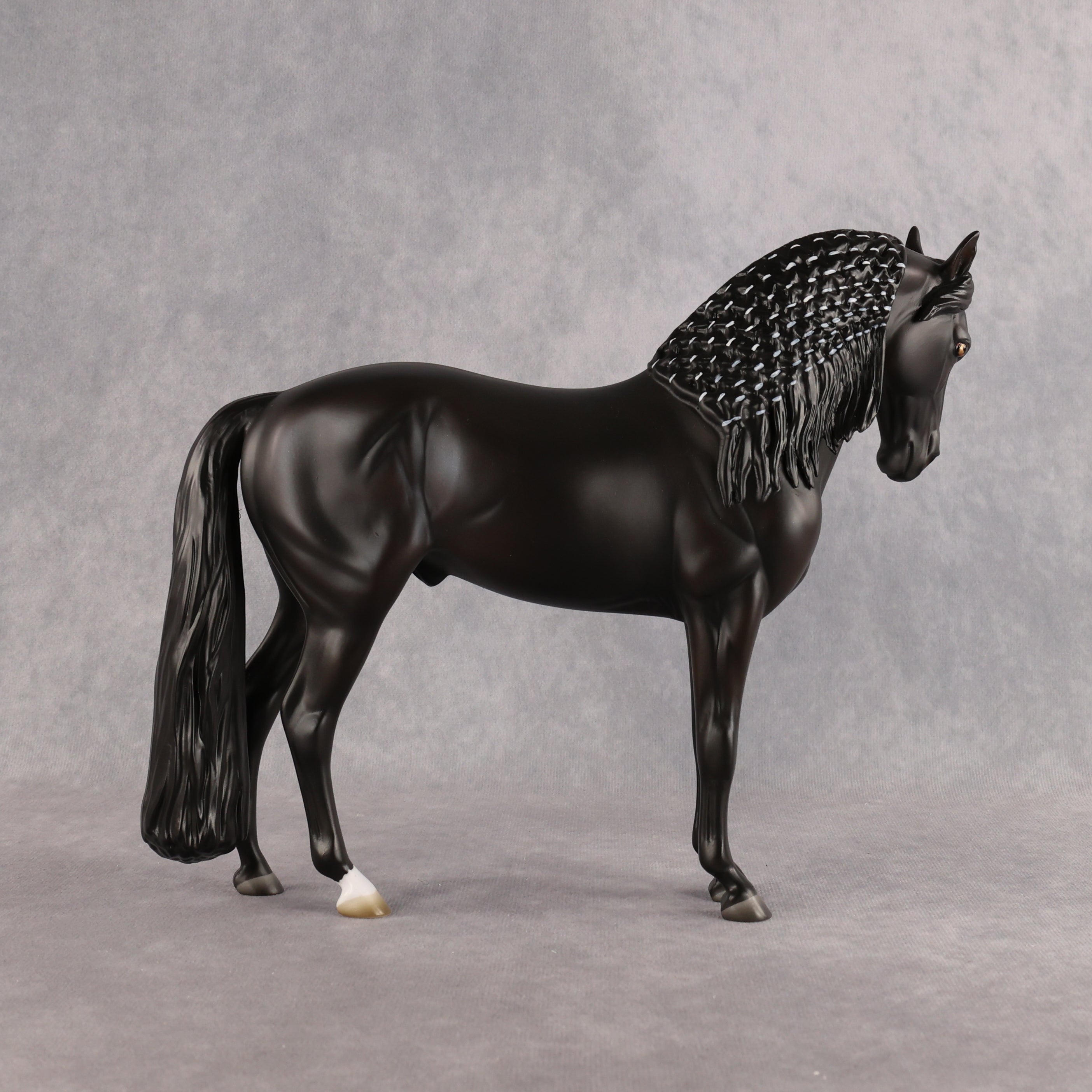 Drogo LE-7 FCM Andalusian by Ashley Palmer EL26