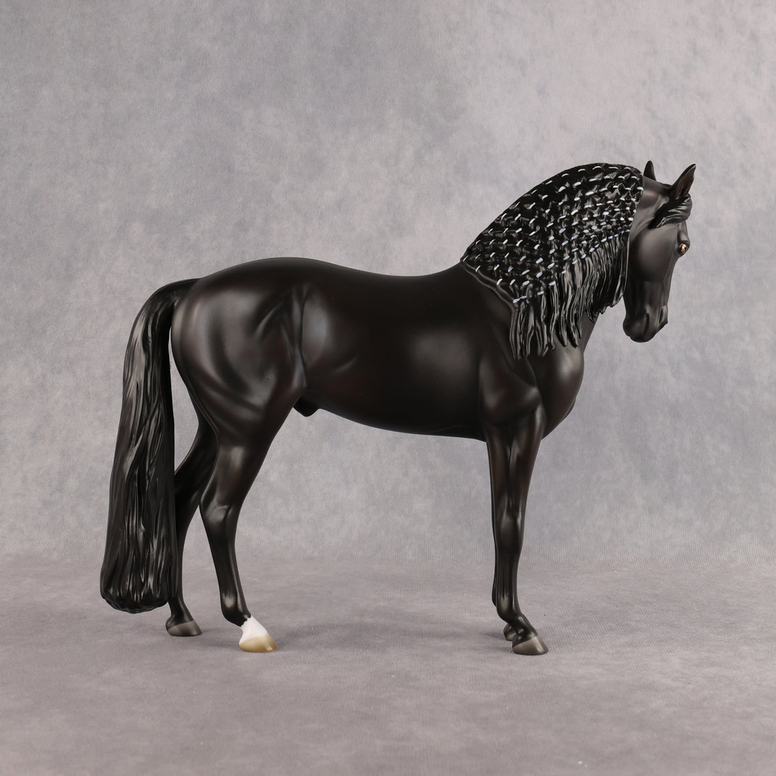 Drogo LE-7 FCM Andalusian by Ashley Palmer EL26