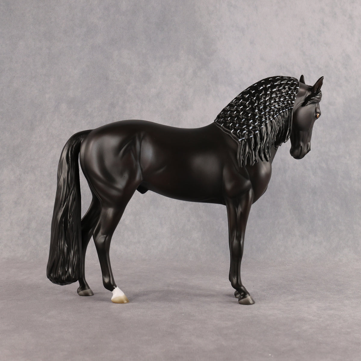 Drogo LE-7 FCM Andalusian by Ashley Palmer EL26