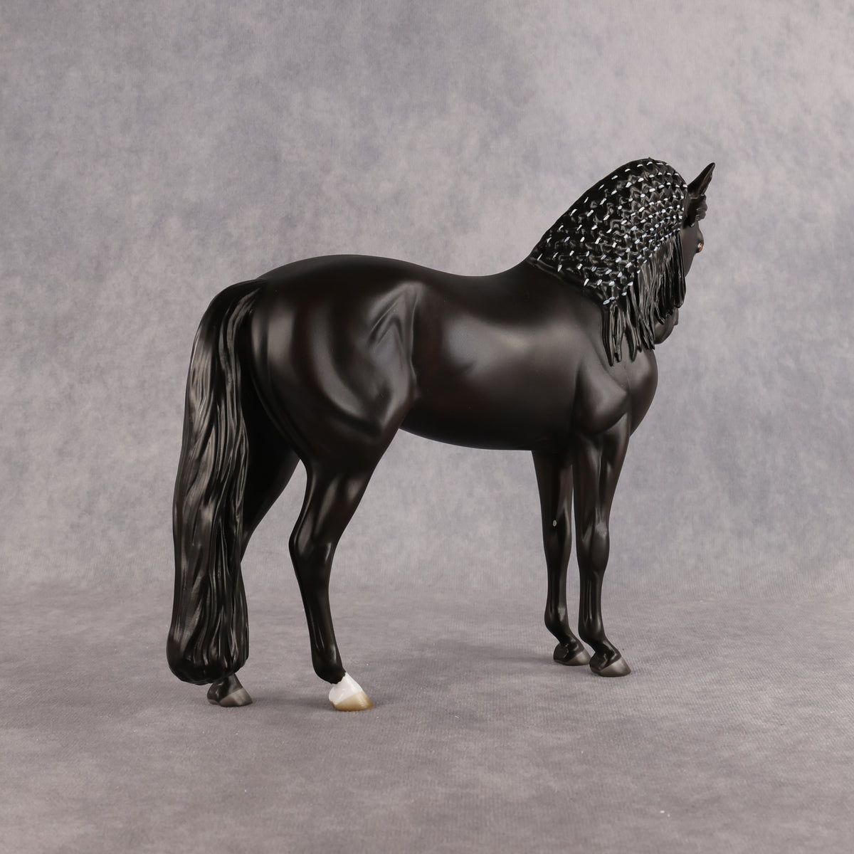 Drogo LE-7 FCM Andalusian by Ashley Palmer EL26