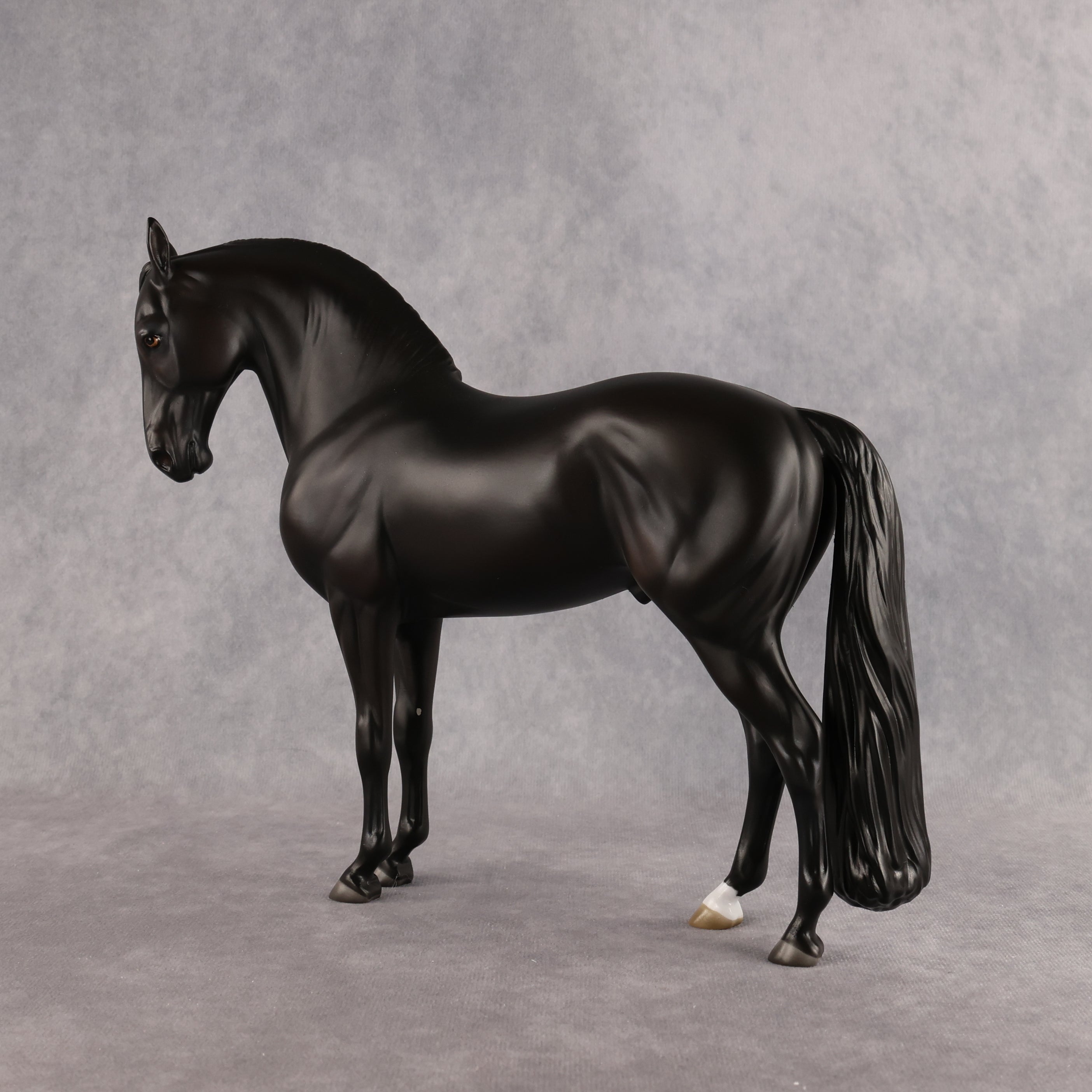 Drogo LE-7 FCM Andalusian by Ashley Palmer EL26