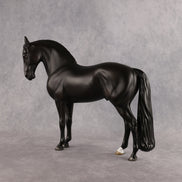 Drogo LE-7 FCM Andalusian by Ashley Palmer EL26