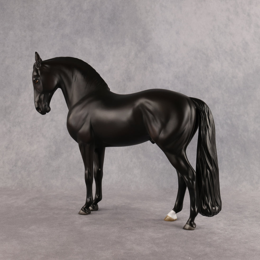 Drogo LE-7 FCM Andalusian by Ashley Palmer EL26